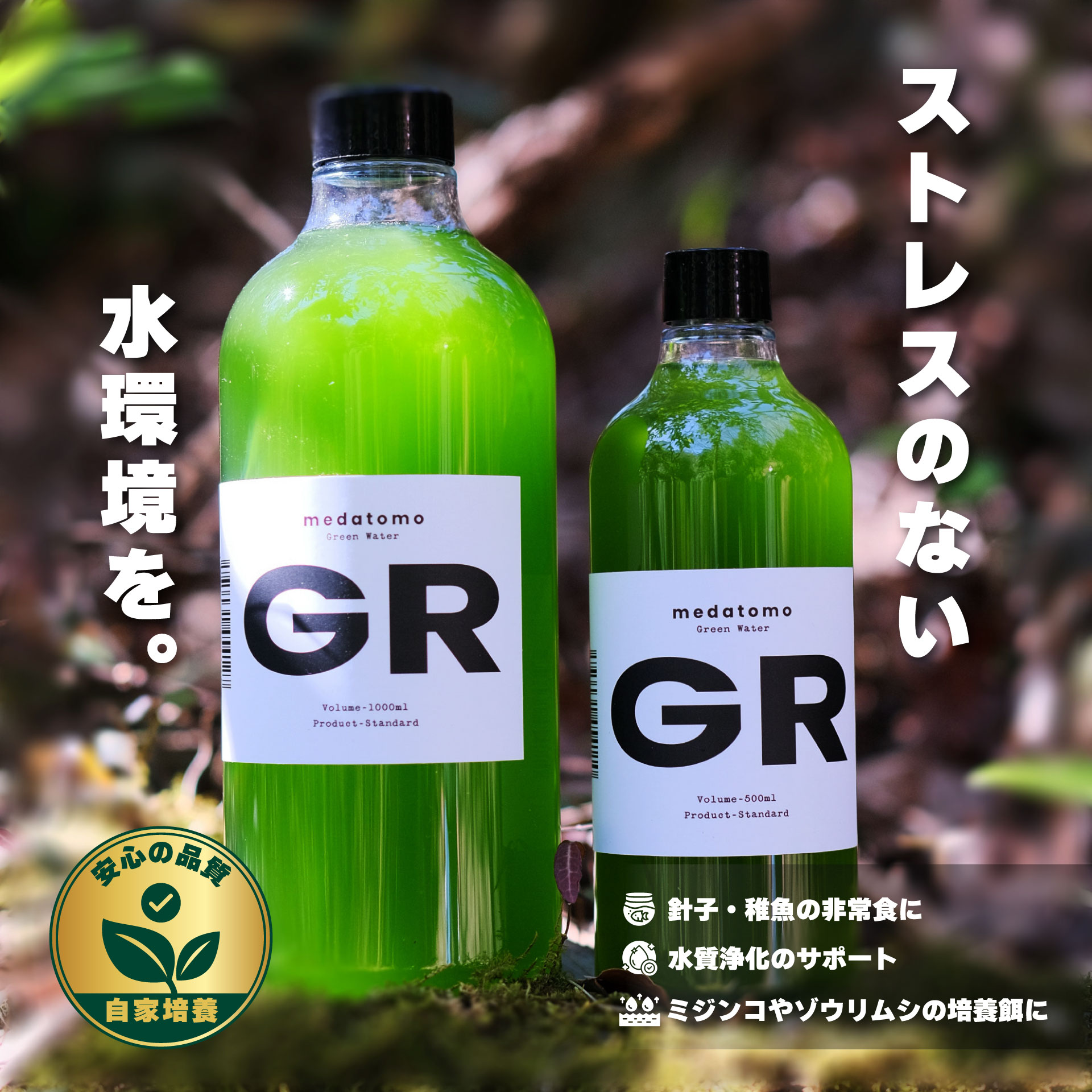 グリーンウォーターの作り方・安全な維持管理方法
