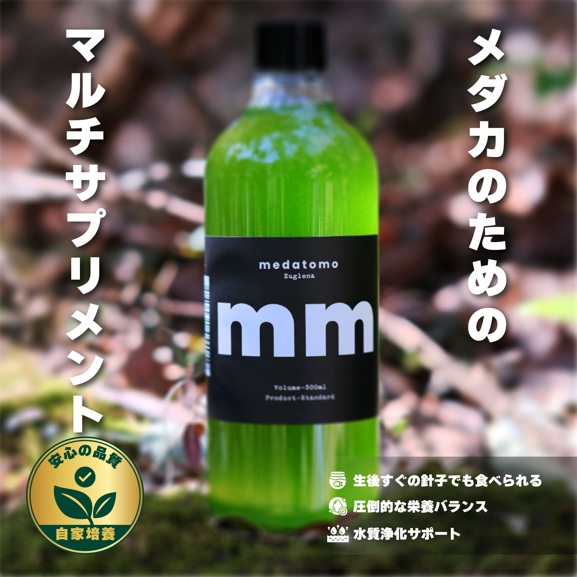 ミドリムシ（ユーグレナ）の正しい与え方｜針子・稚魚の栄養補給
