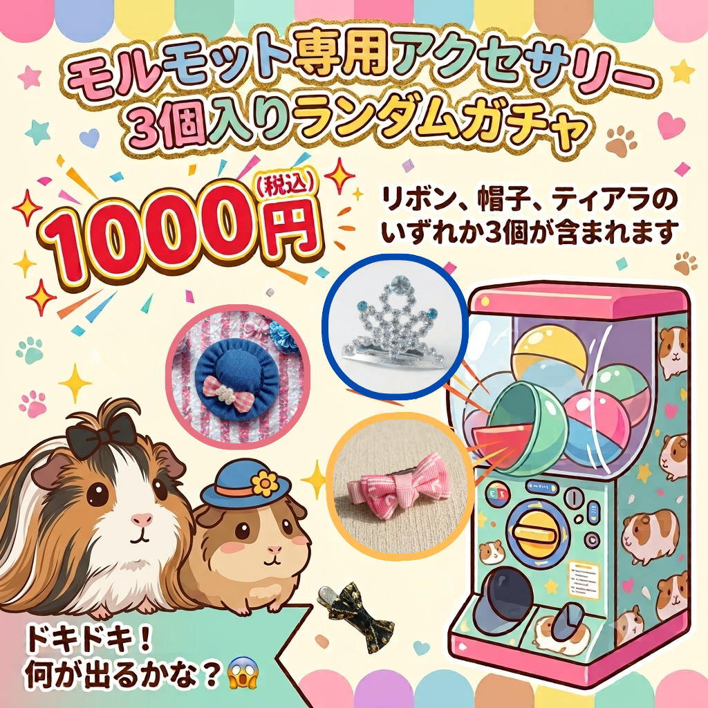 なにが出るかな!? モルモット専用アクセサリー３個入りランダムガチャが新登場！