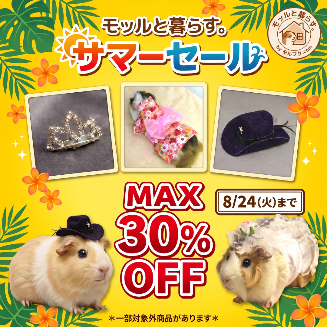 サマーセール開催！【最大30%OFF】愛モルちゃんのおしゃれ夏服＆アクセサリーが特別価格に♪