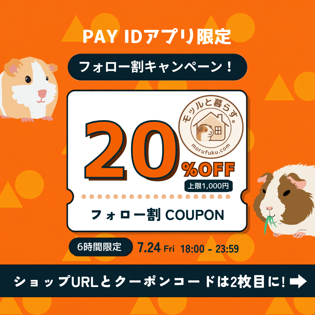 【6時間限定！】7/24(金) PAY IDフォロー割で全商品20%オフ❣