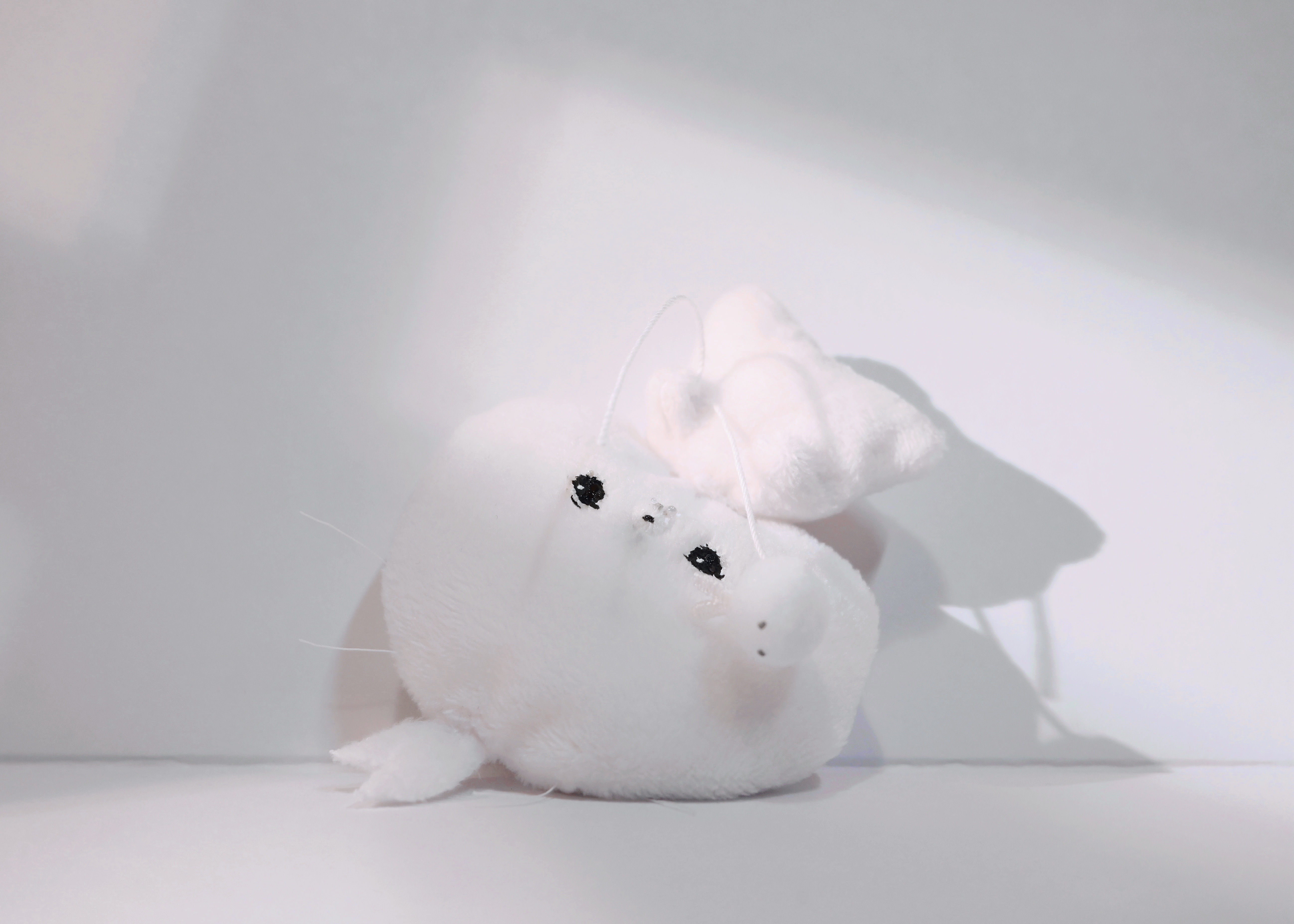 『Kaninchenのあの子』