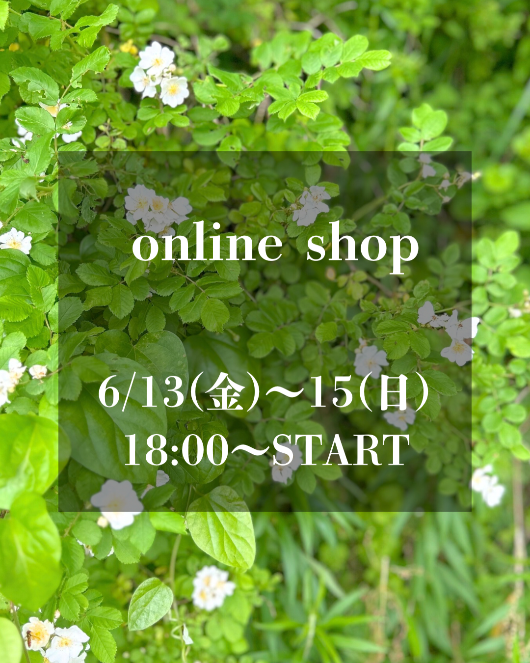 6/13〜15 オンラインショップ Open