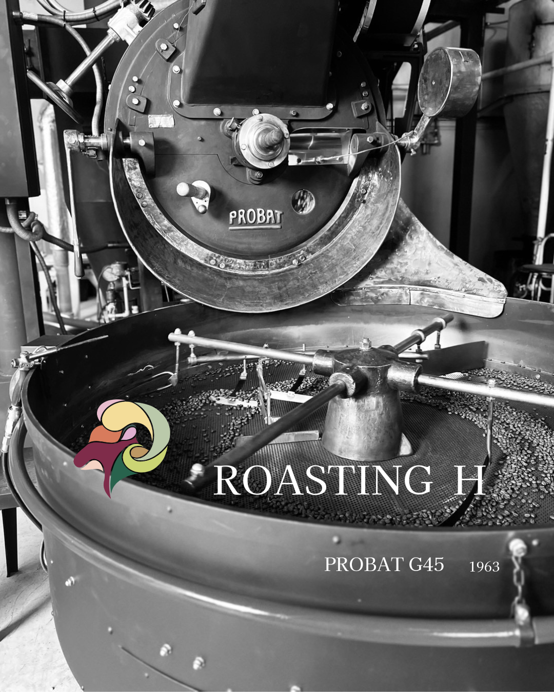 【本日オープン】Roasting H オンラインショップ開店！こだわりのドリップバッグ4種のご紹介