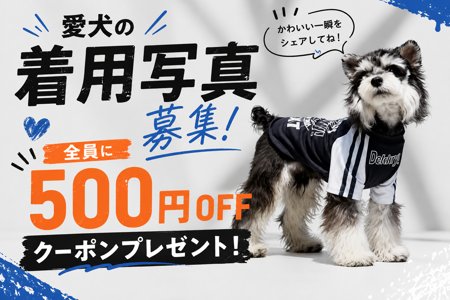 着用写真を募集!