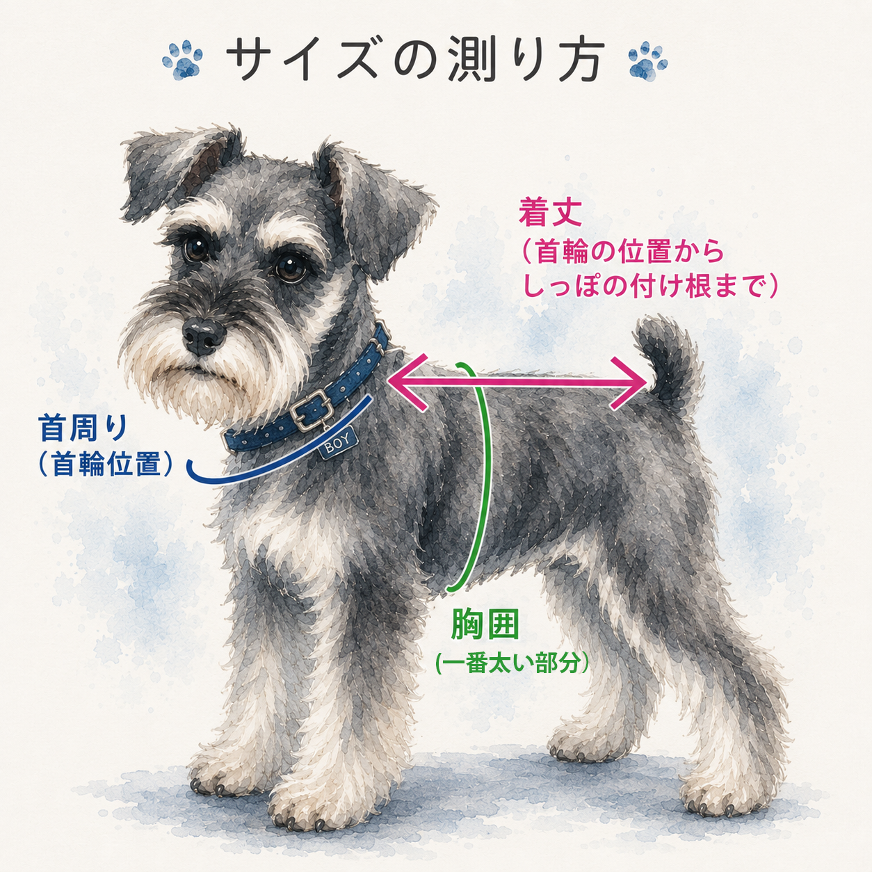 サイズの測り方