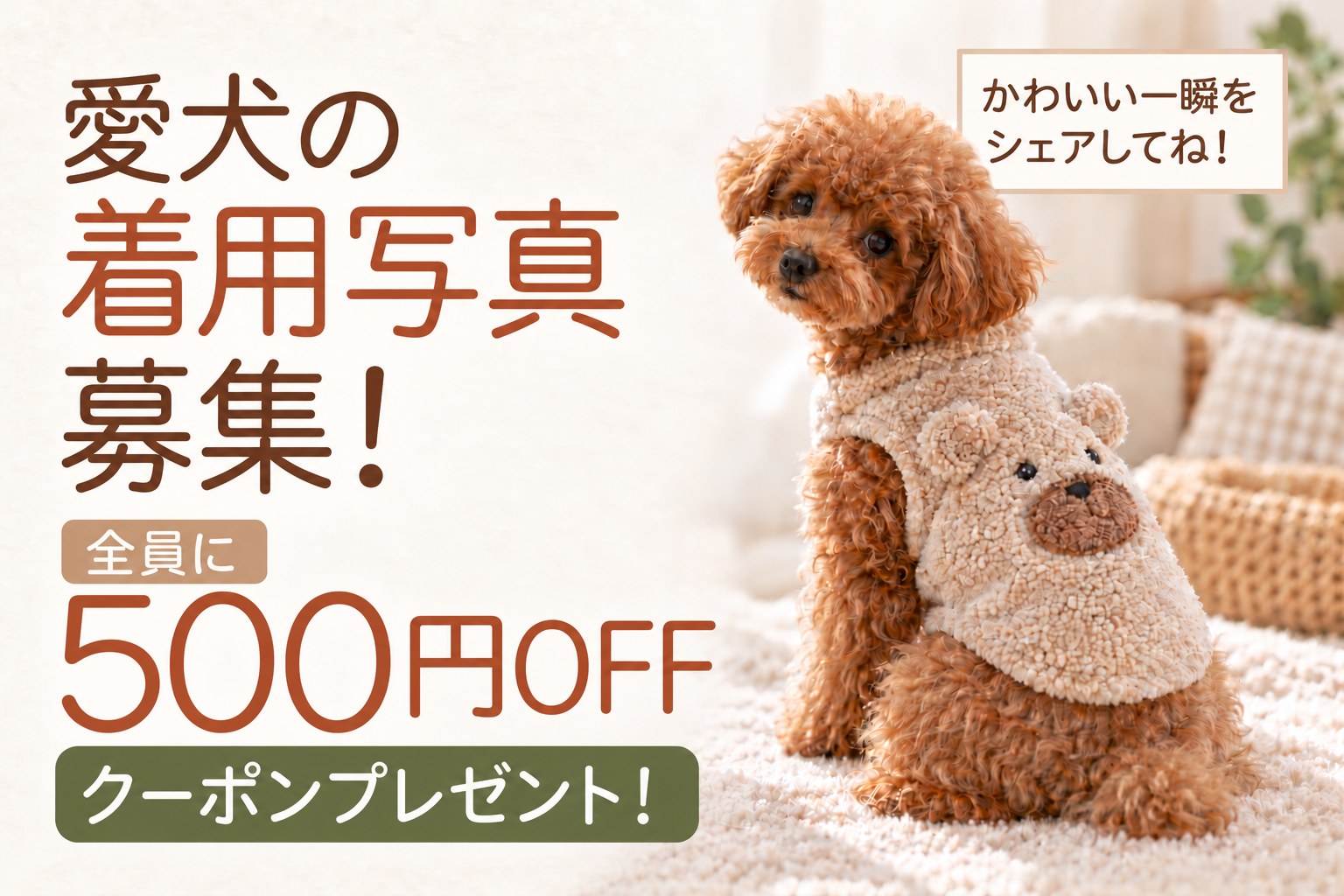 着用写真を募集！