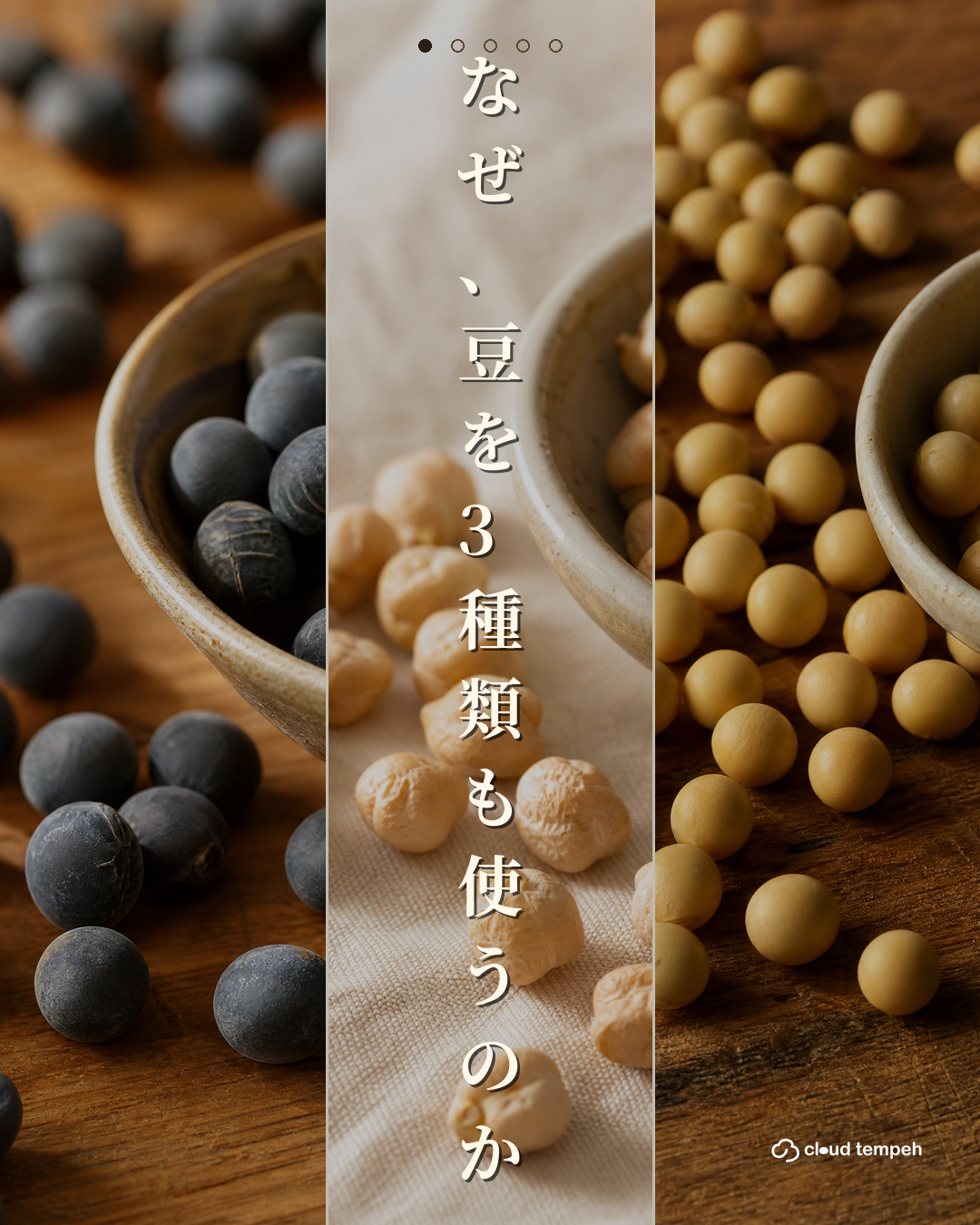 テンペとは？日本人のための、やさしい入門