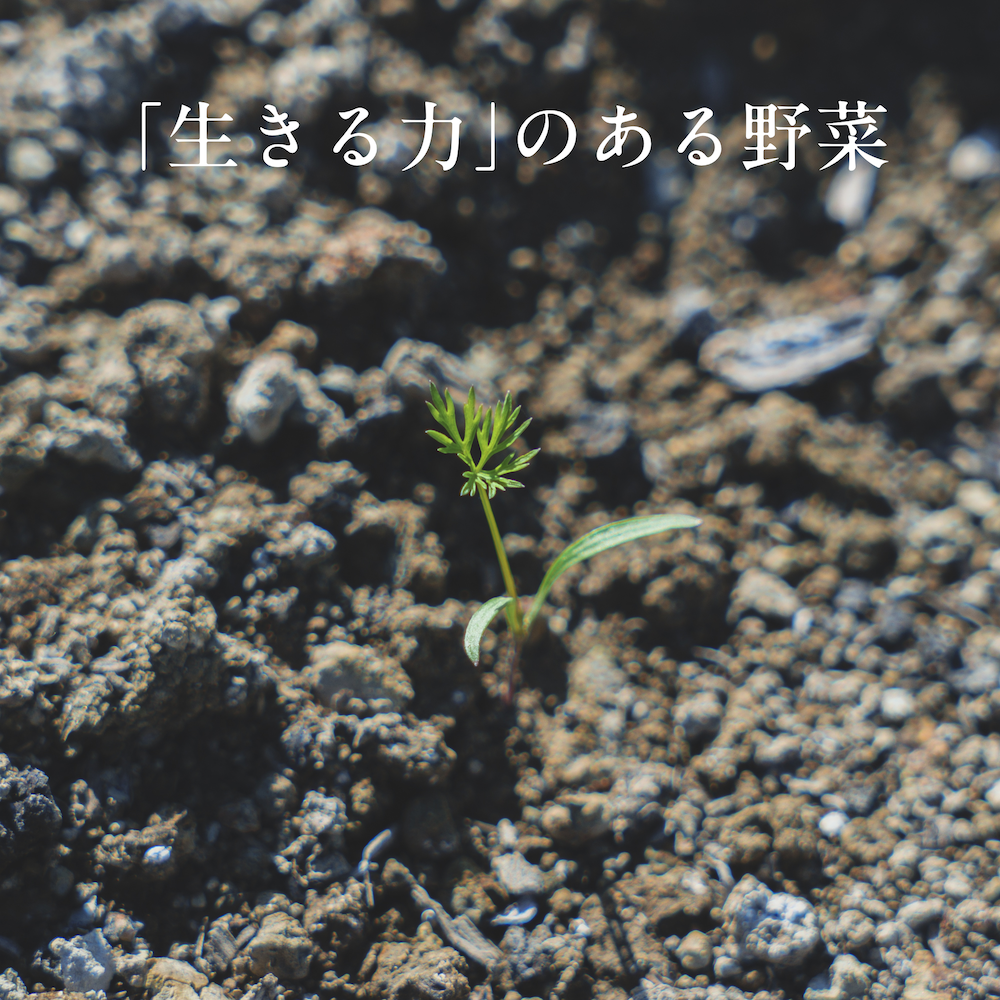 有機農業において大切なこと