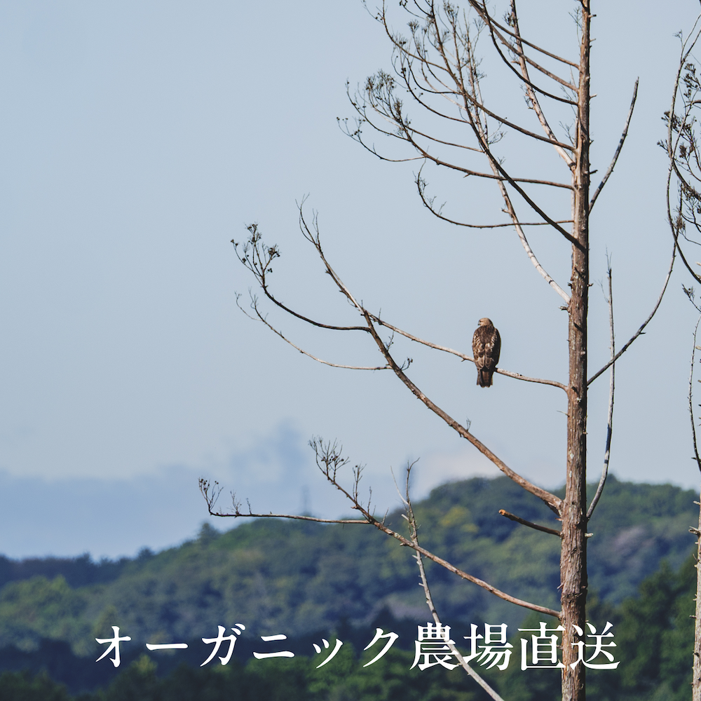 身土不二 食べることと生きること