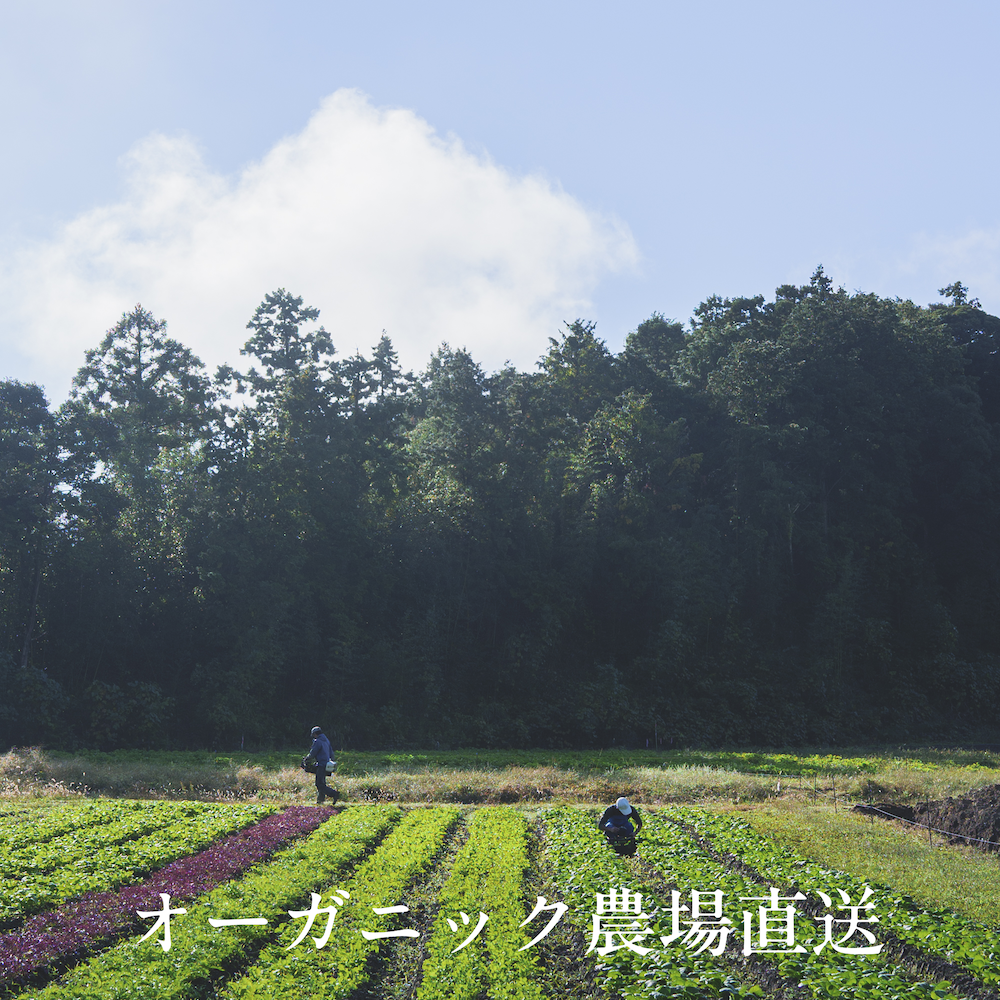 「野良(のら)に行く」という表現