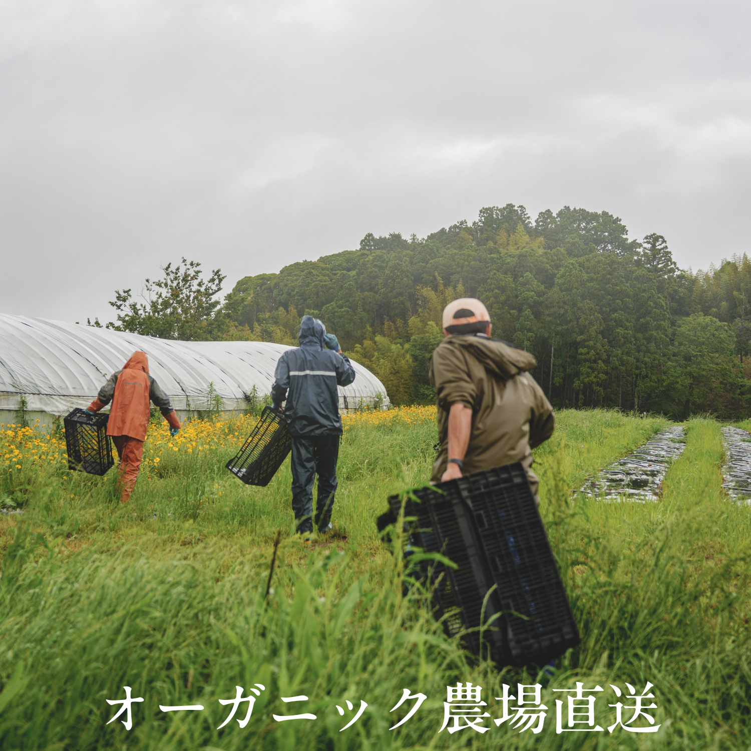 Good Jobと有機農業