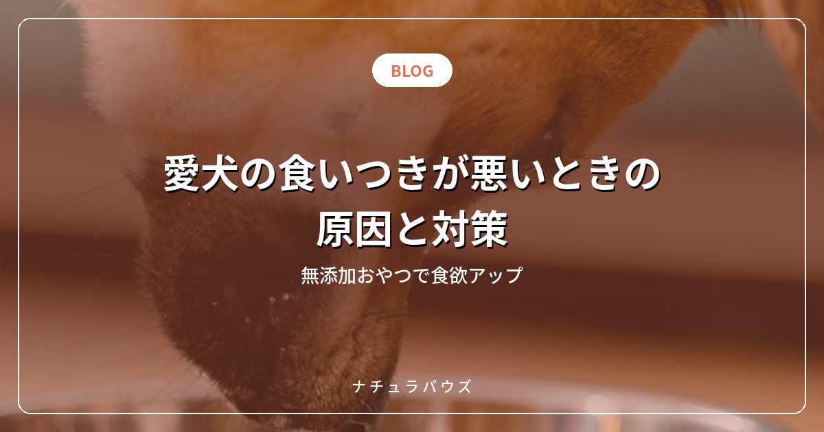 愛犬の食いつきが悪いときの原因と対策|無添加おやつで食欲アップ