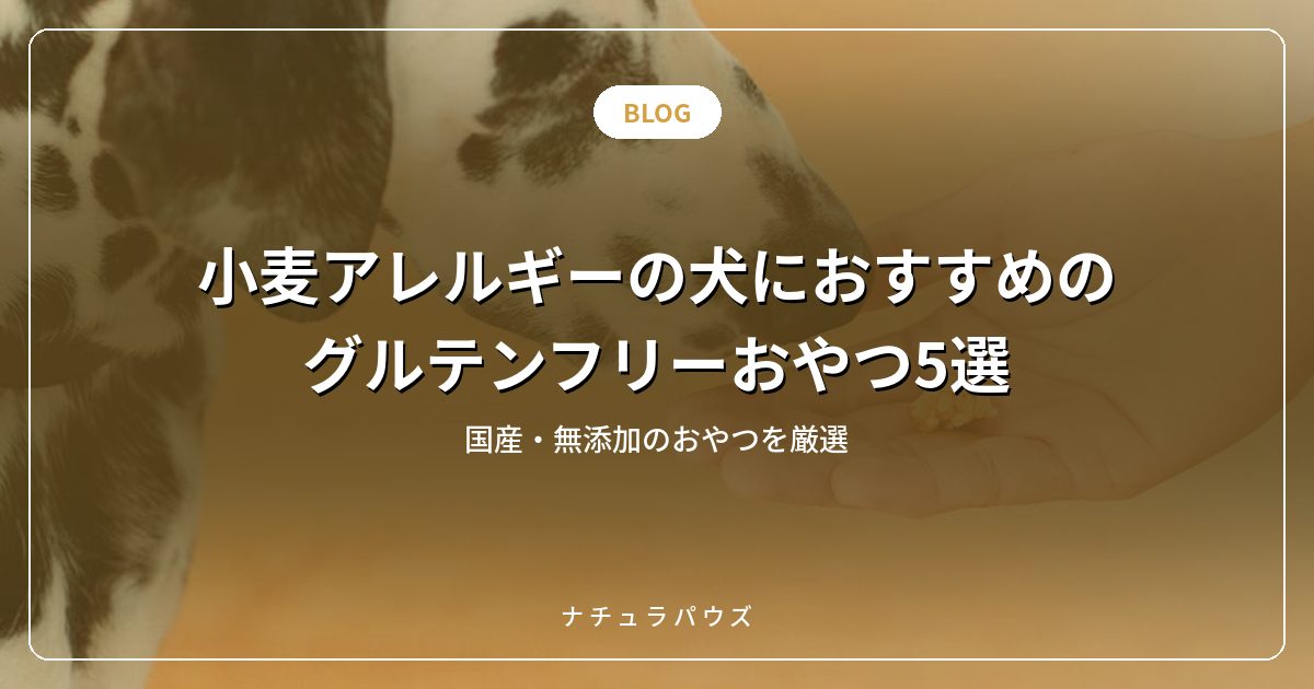 小麦アレルギーの犬におすすめのグルテンフリーおやつ5選|国産・無添加