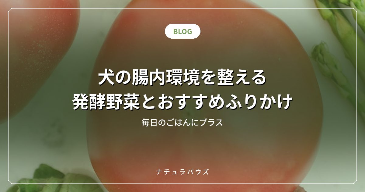 犬の腸内環境を整える発酵野菜とおすすめふりかけ|ごはんにプラス