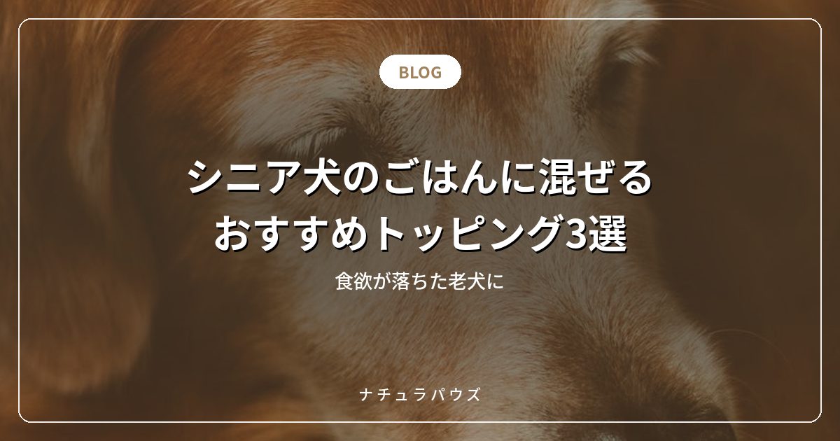 シニア犬のごはんに混ぜるおすすめトッピング3選|食欲が落ちた老犬に