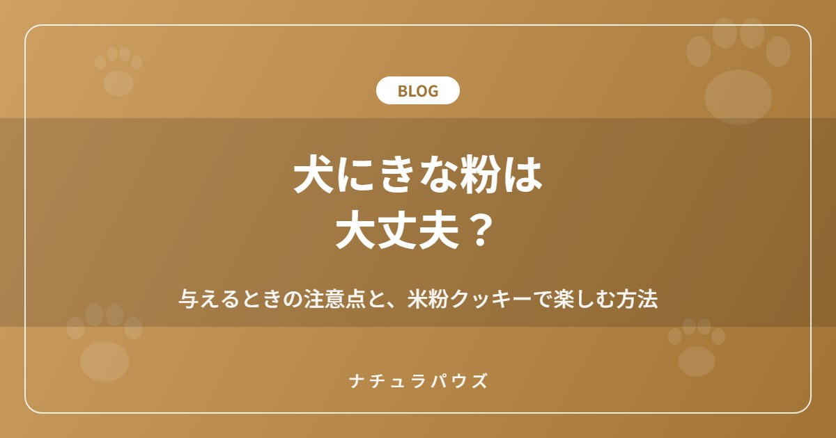 犬にきな粉は大丈夫?与えるときの注意点と、米粉クッキーで楽しむ方法