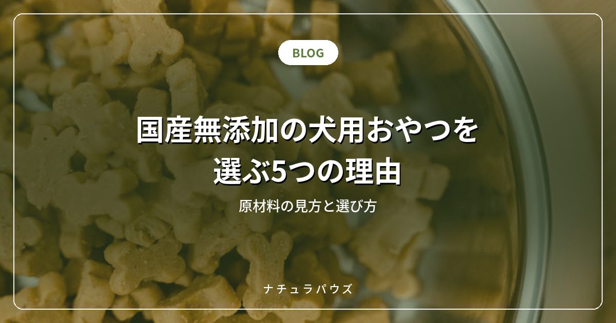 国産無添加の犬用おやつを選ぶ5つの理由|原材料の見方と選び方
