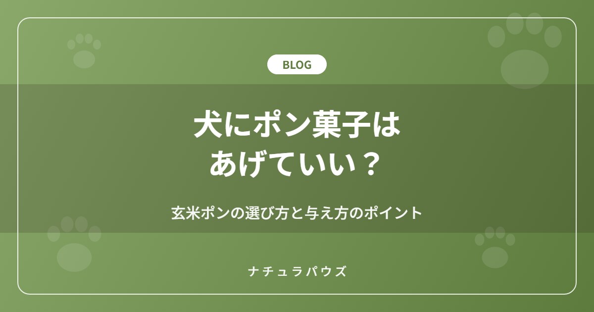 犬にポン菓子はあげていい?玄米ポンの選び方と与え方のポイント