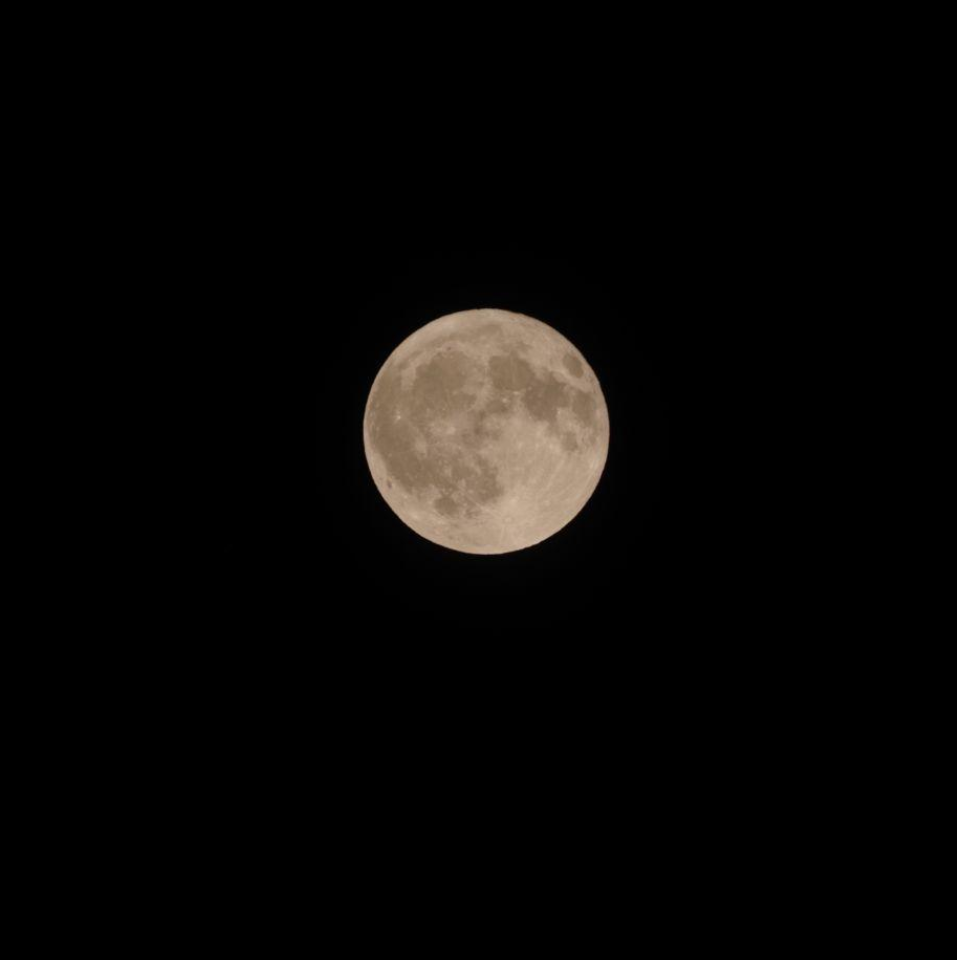 Moon