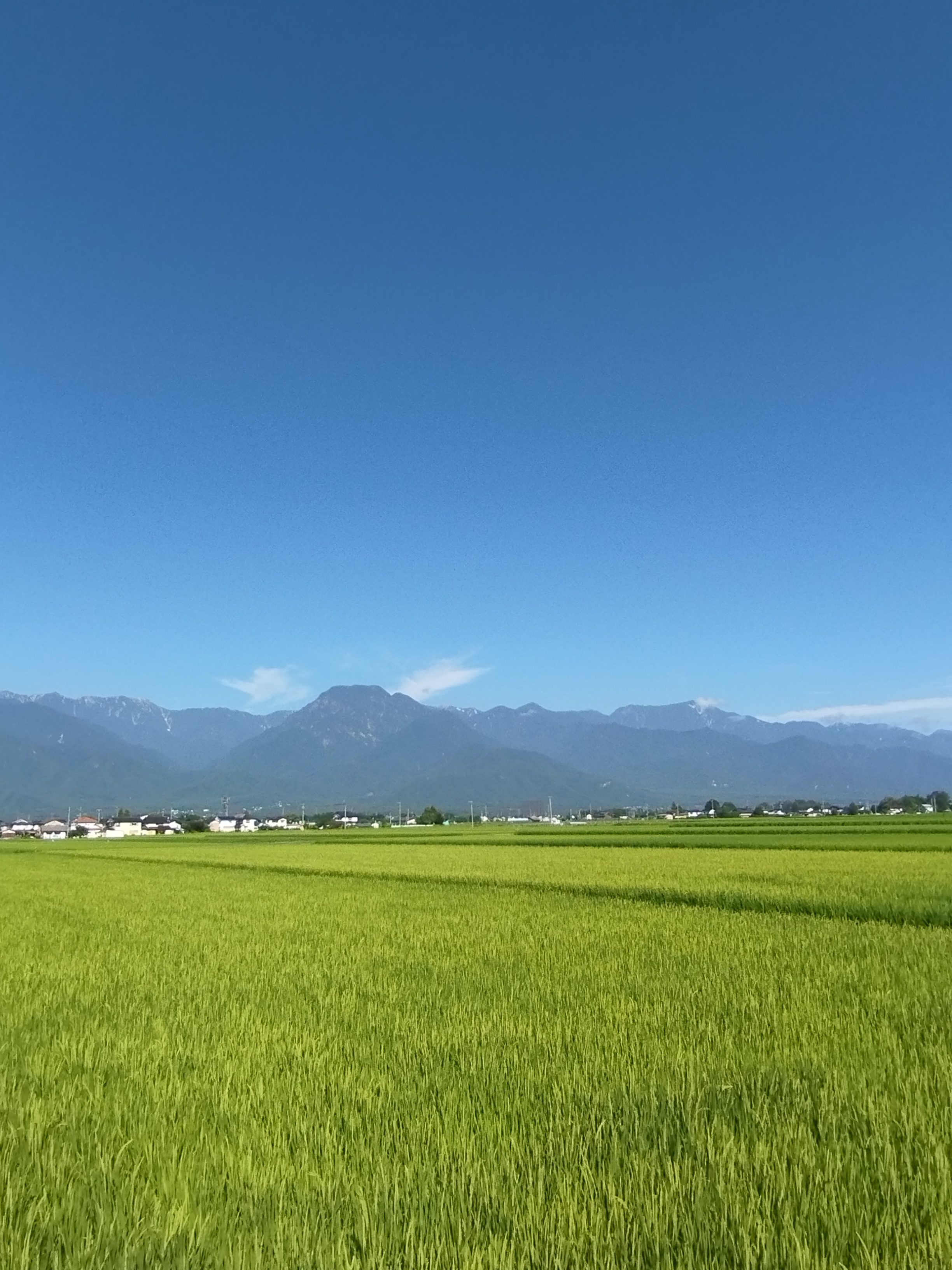 ふるさと納税