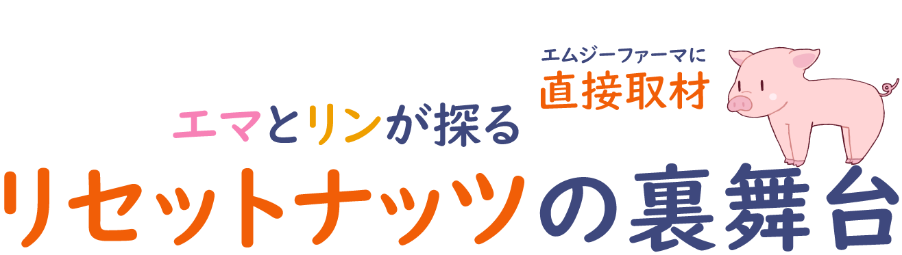 【リセットナッツ】食事の脂肪対策に ほんのり甘いきなこ風味のナッツ