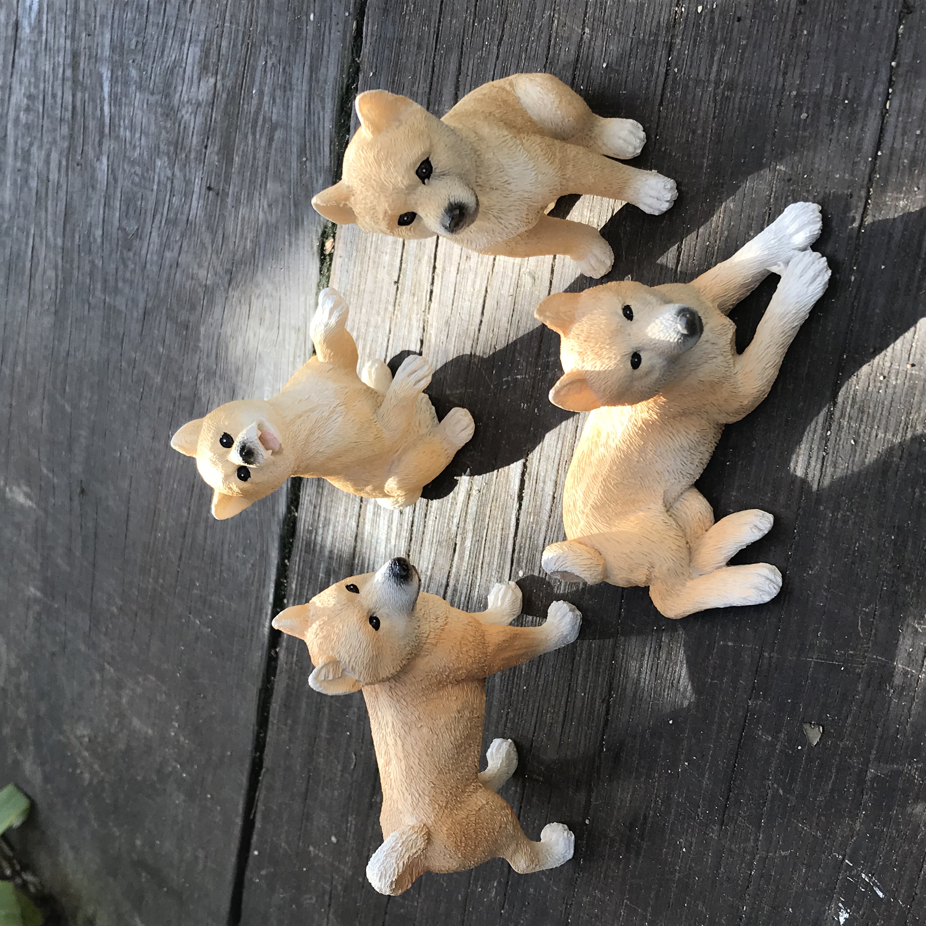 【柴犬オブジェ】どの子もかわいいです♫