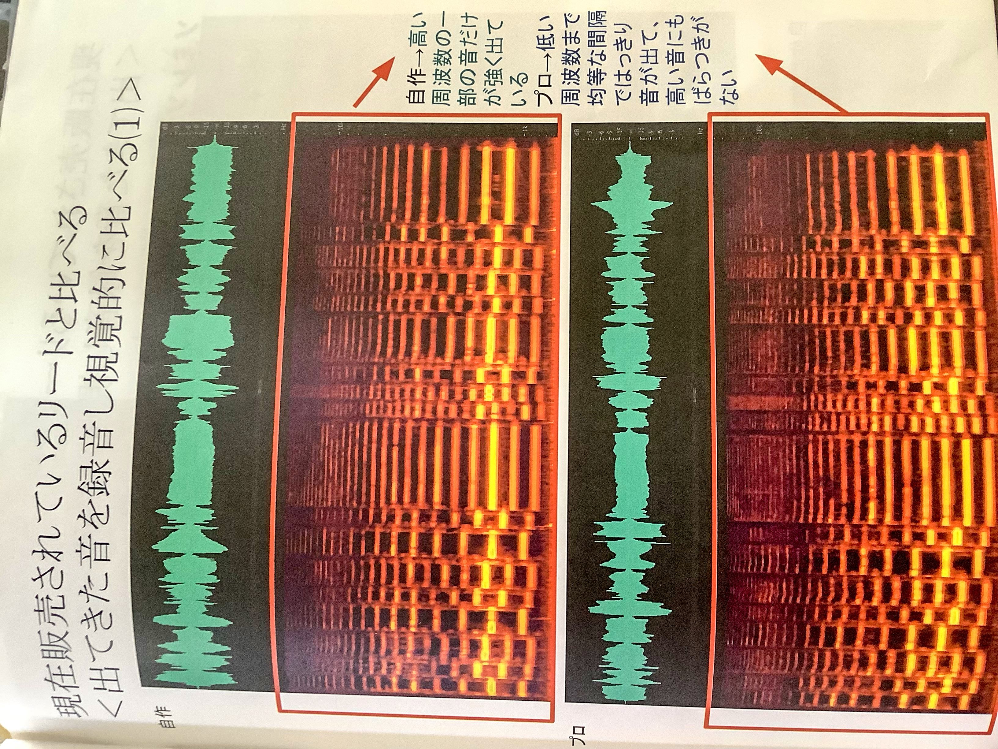 夏休みの自由研究にオススメ！