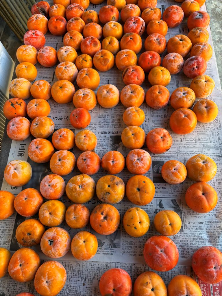 「波動 #56」──秋の色彩とともに、静かなうねりを暮らしに