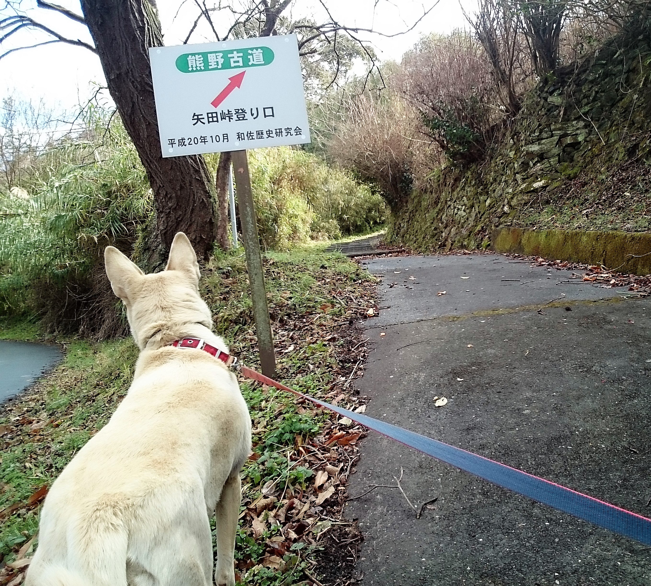 熊野古道までパトロール