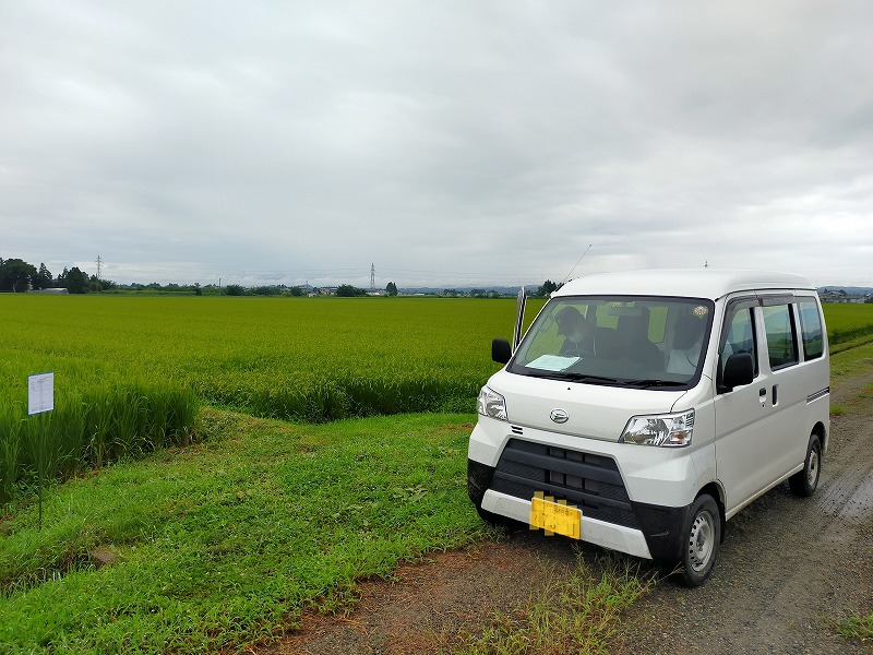 特別栽培の認証を取得しました