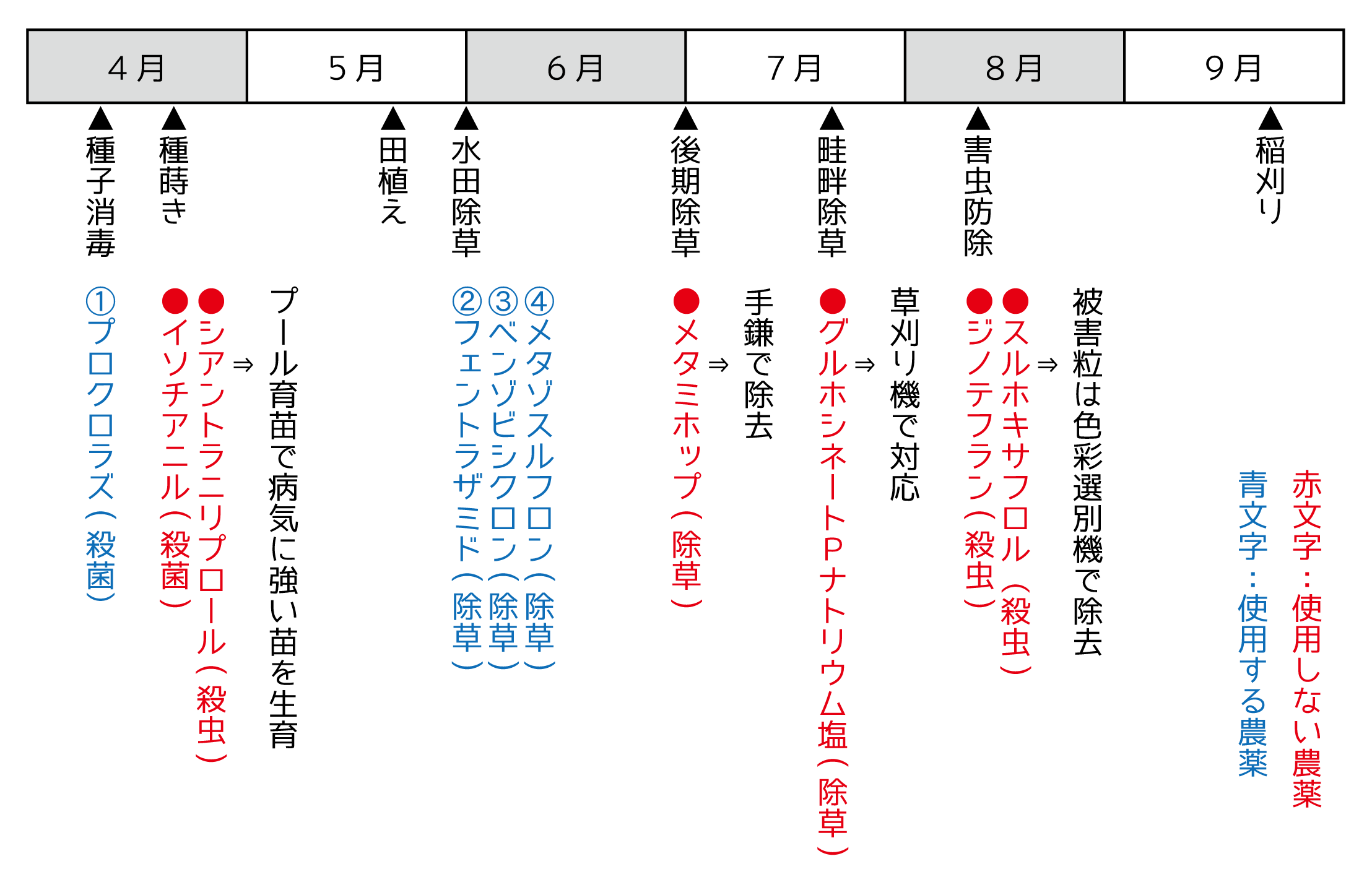 令和6年度のお米作りが始まりました