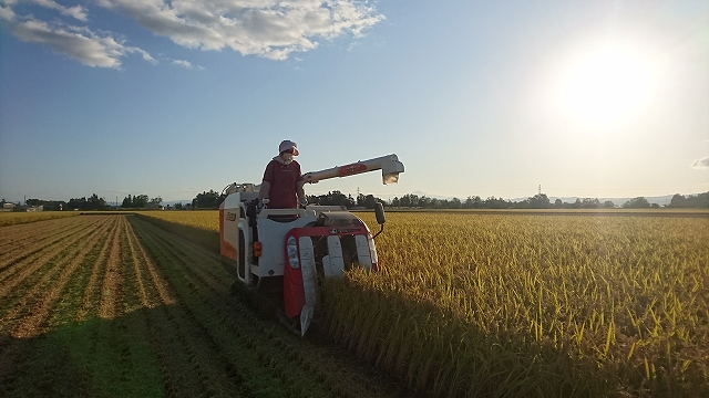 「小場農園のあきたこまち」ショップ開設しました