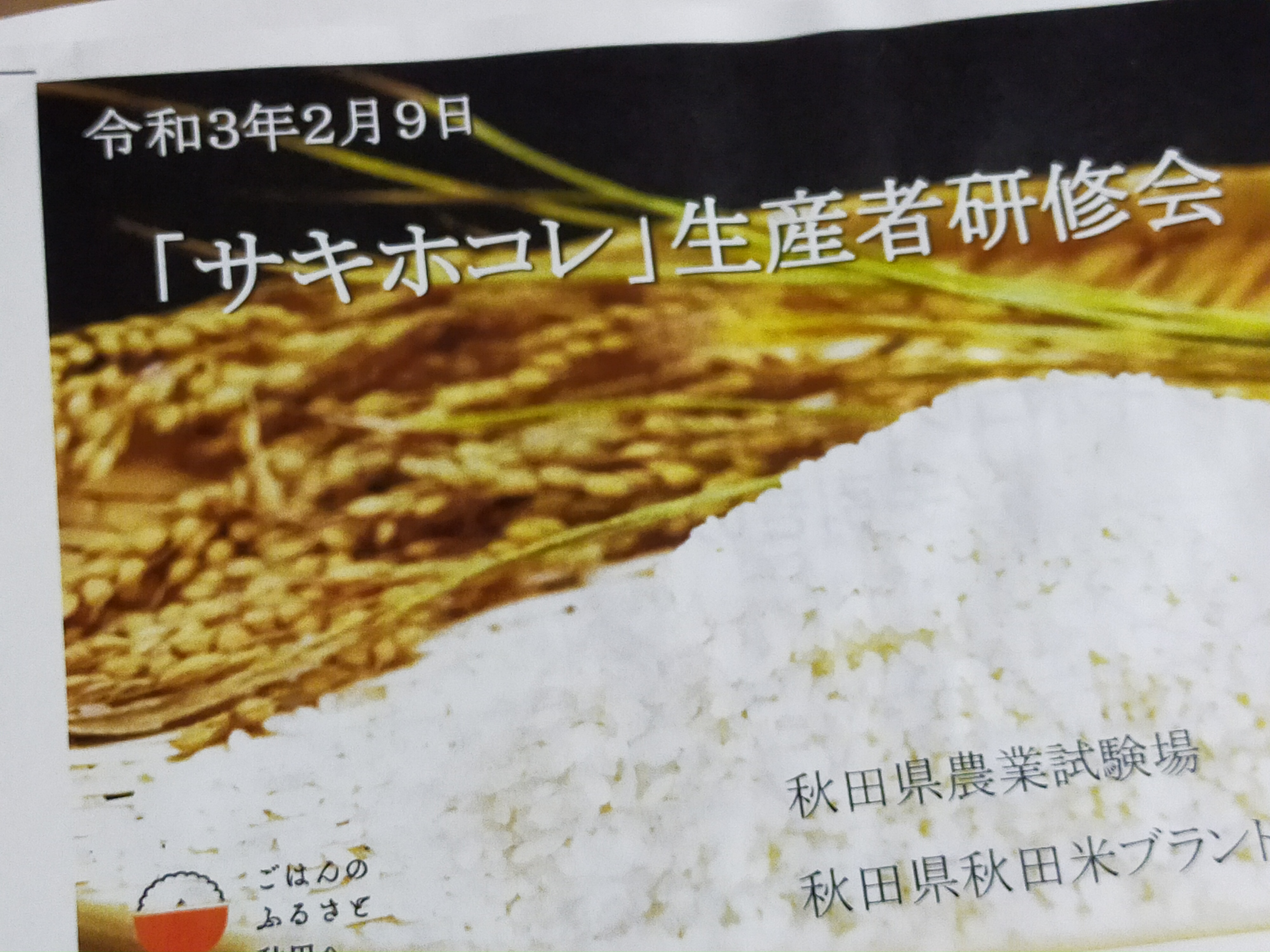 お米の新品種「サキホコレ」の生産者研修会に出席してきました