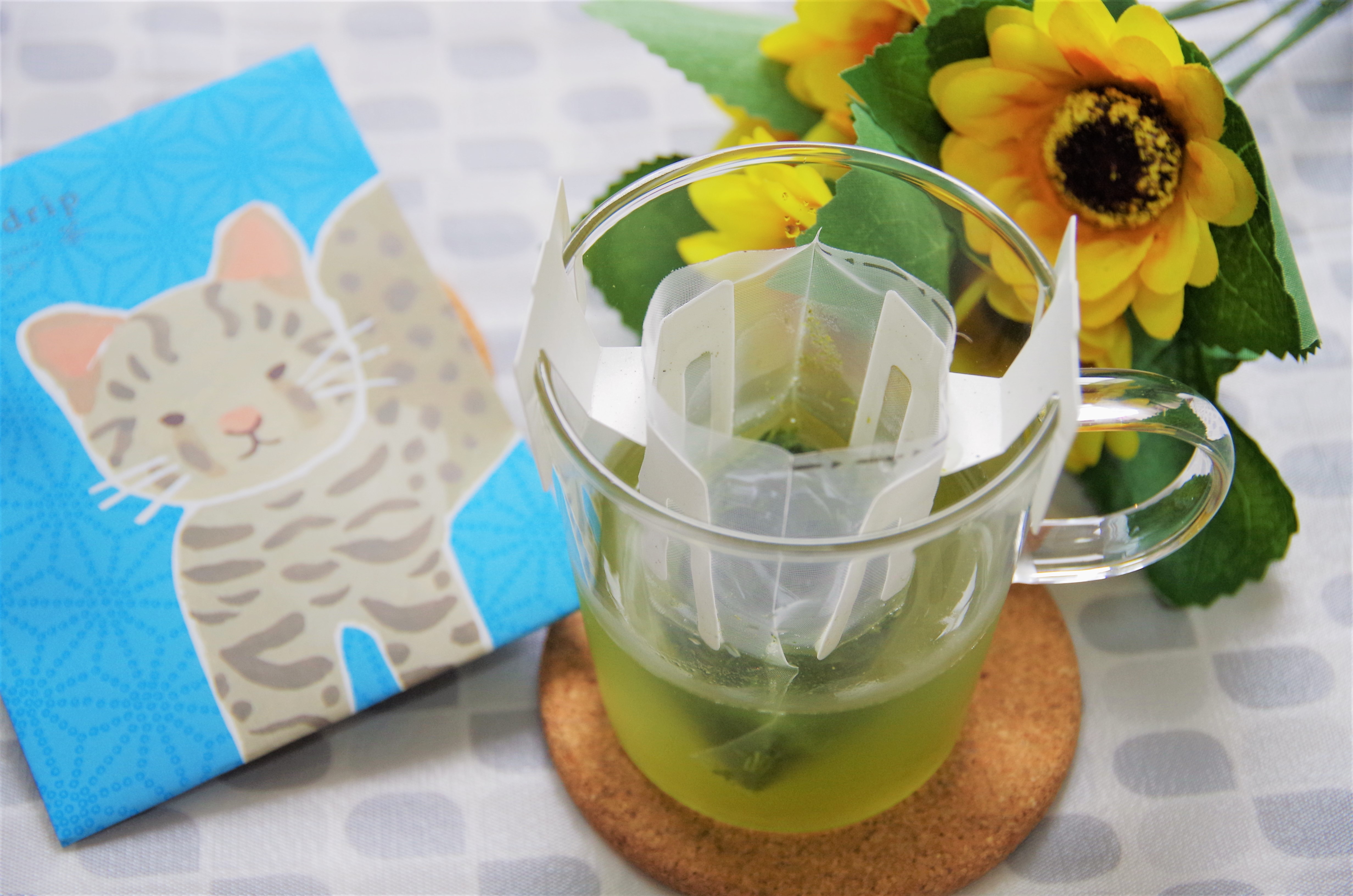 【夏バテ予防に効果あり！？】簡単・おいしい冷茶（水だし緑茶）の作り方