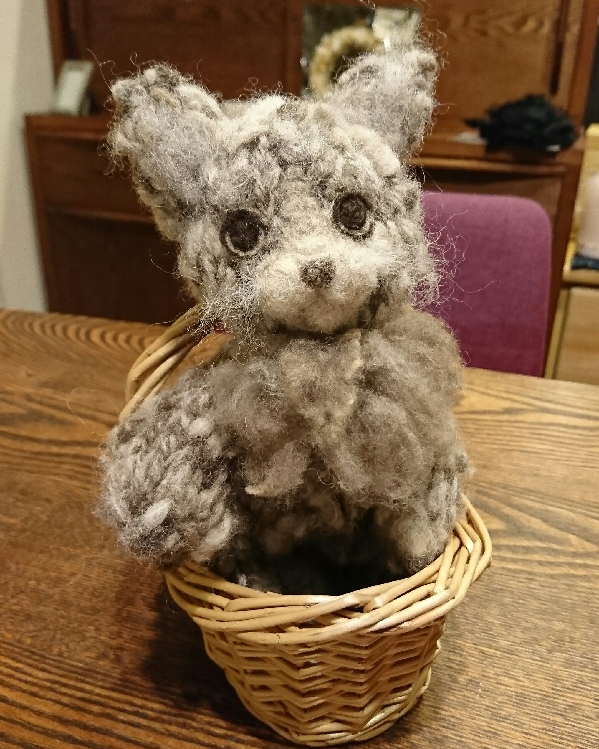 『きょうのにゃんこ』 