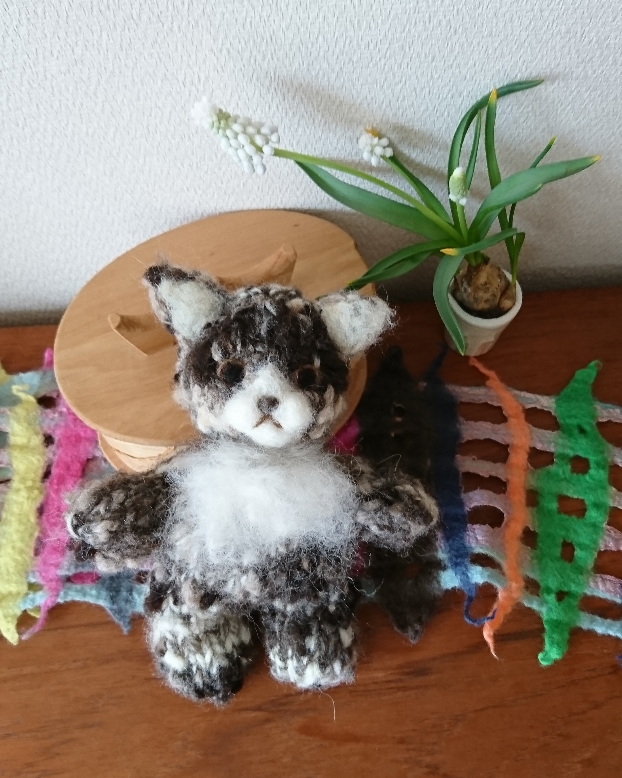 『きょうのにゃんこ』 