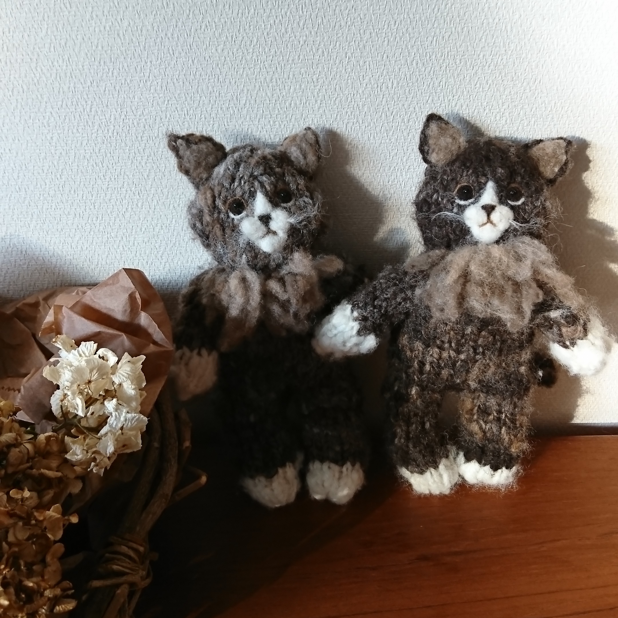 きょうのにゃんこ