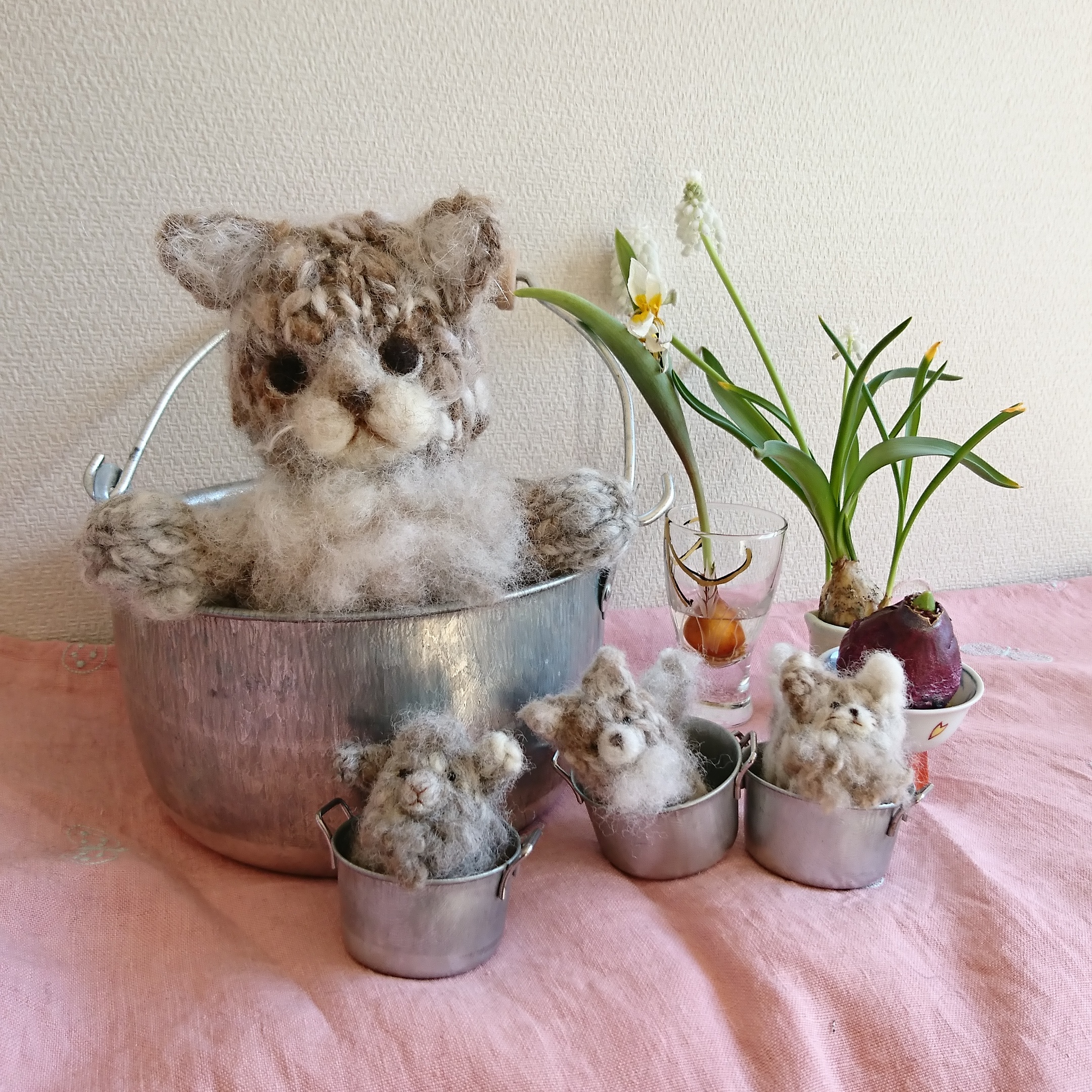 『きょうのにゃんこ』 