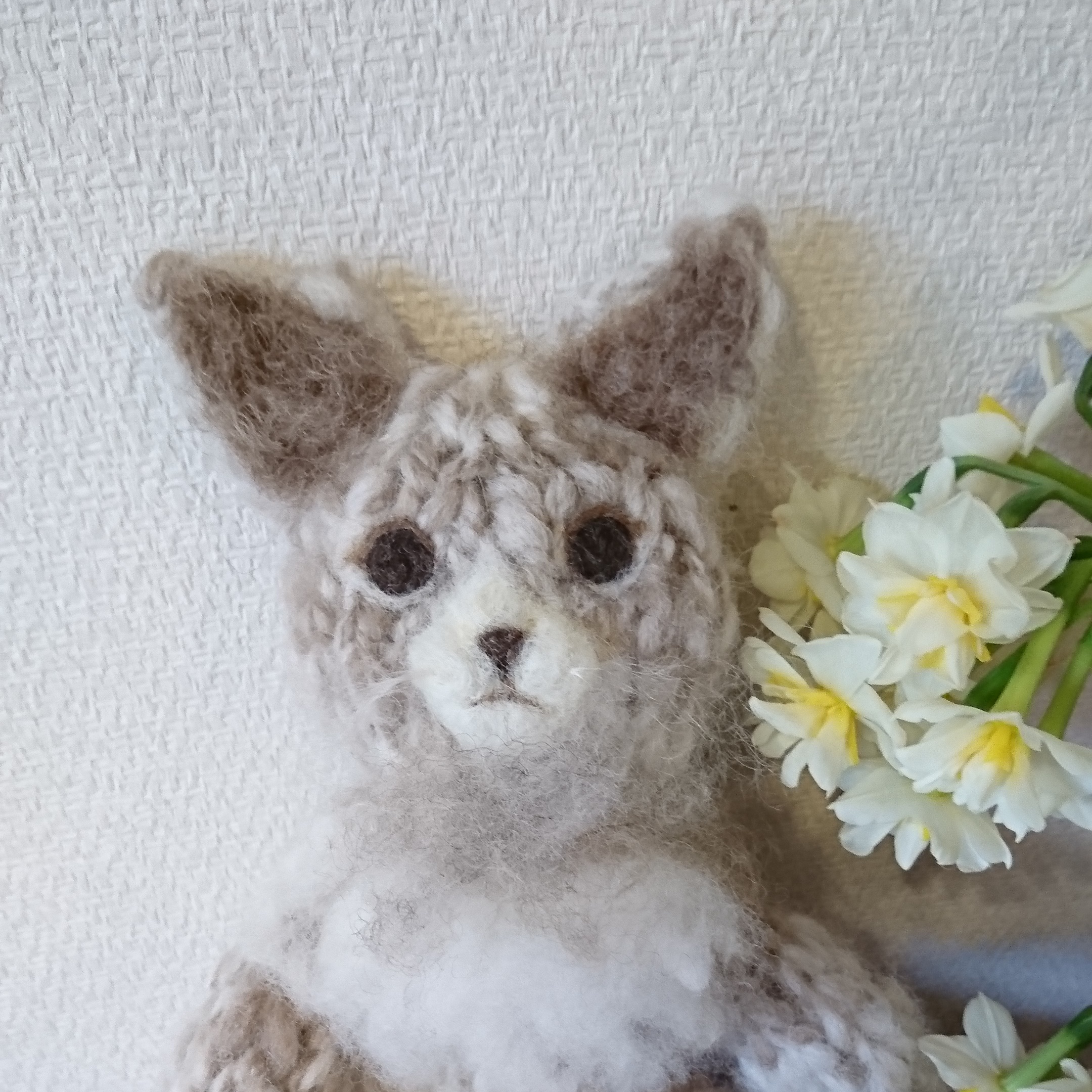 『きょうのにゃんこ』 