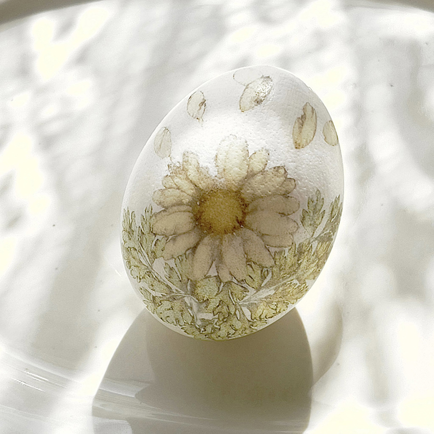 儚い美を卵の殻に留める～コラージュ作家、合田ノブヨさんの作品