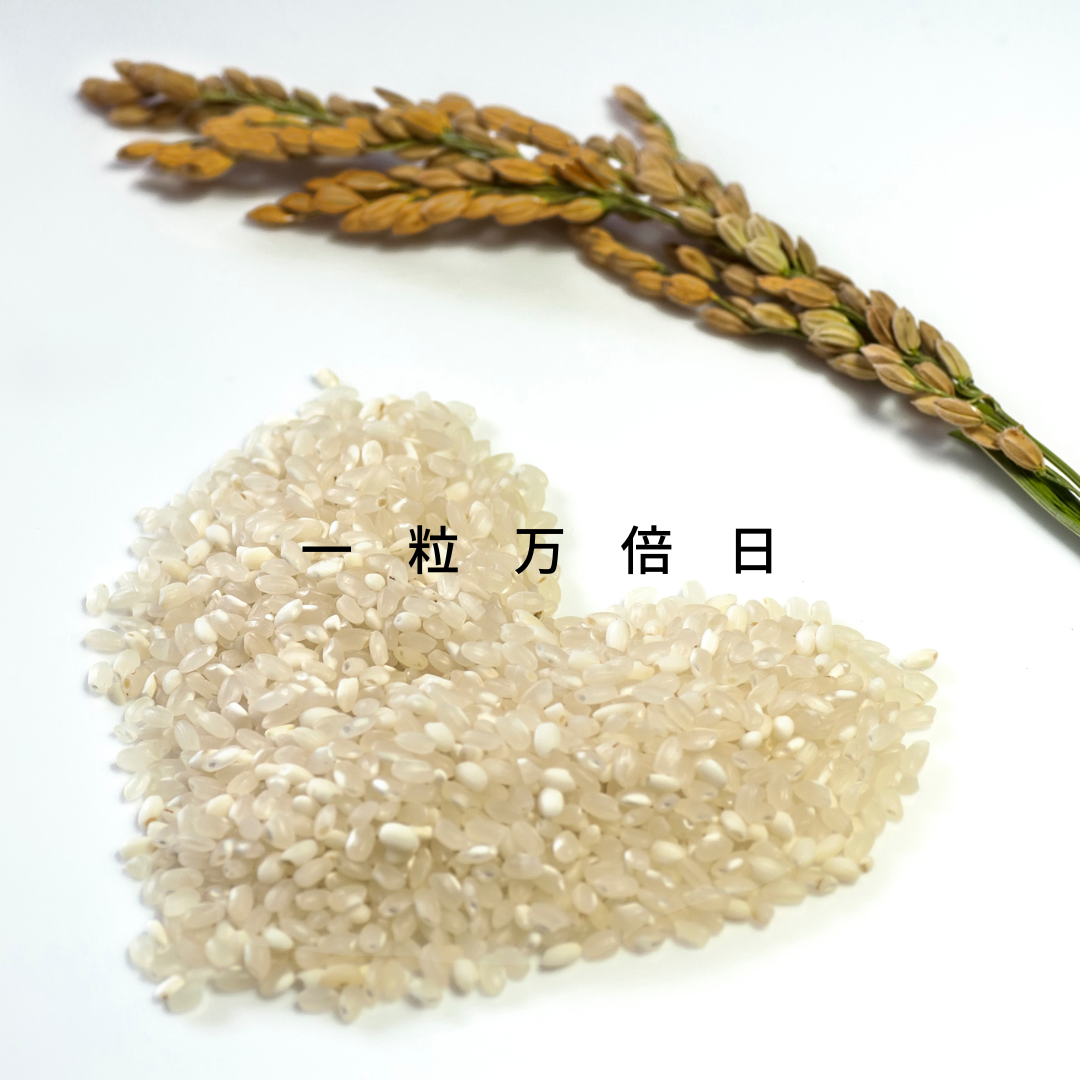 一粒万倍日