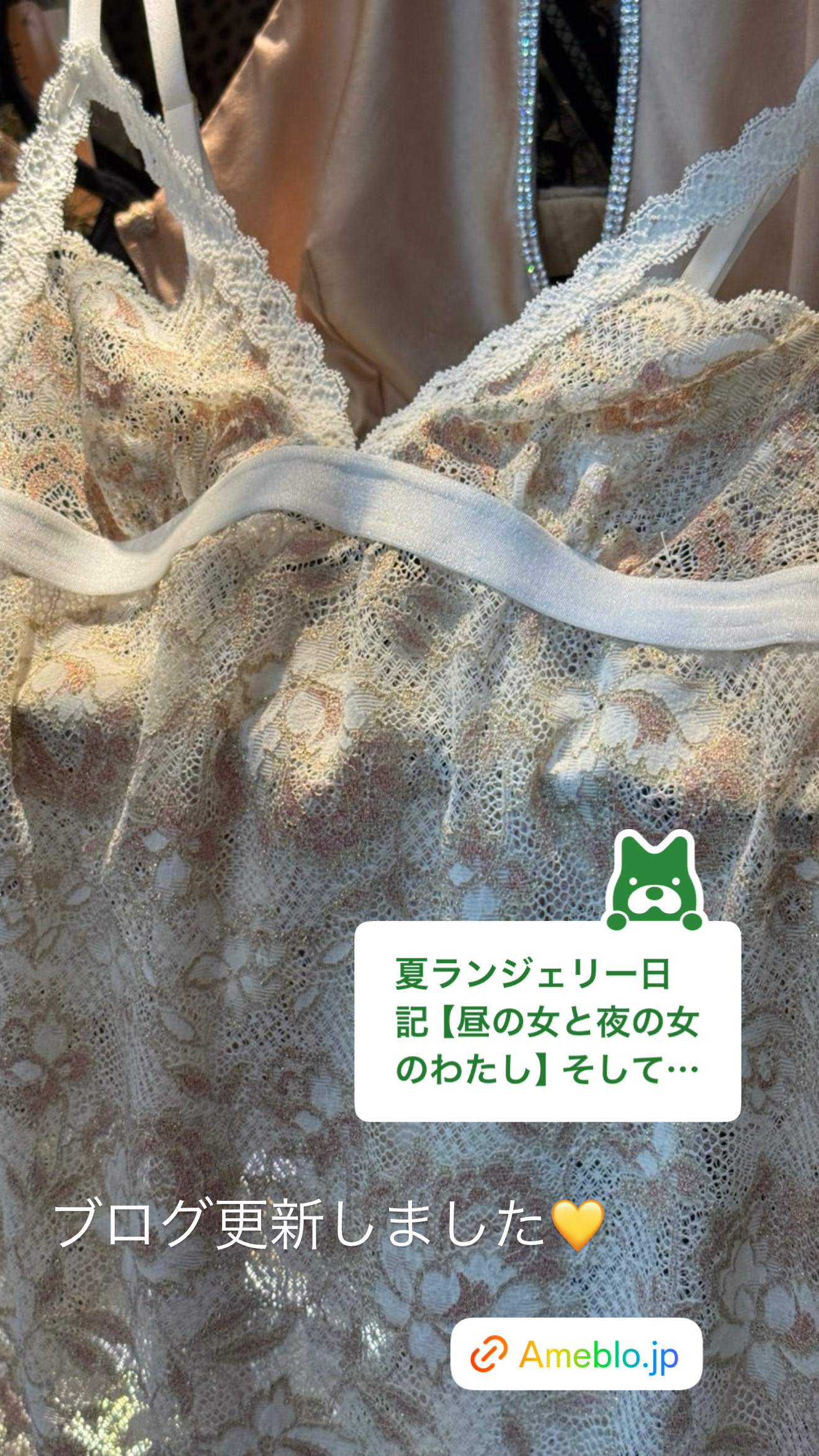 夏のランジェリーダイアリー【ブログ】更新しました💛昼と夜とランジェリー❤️