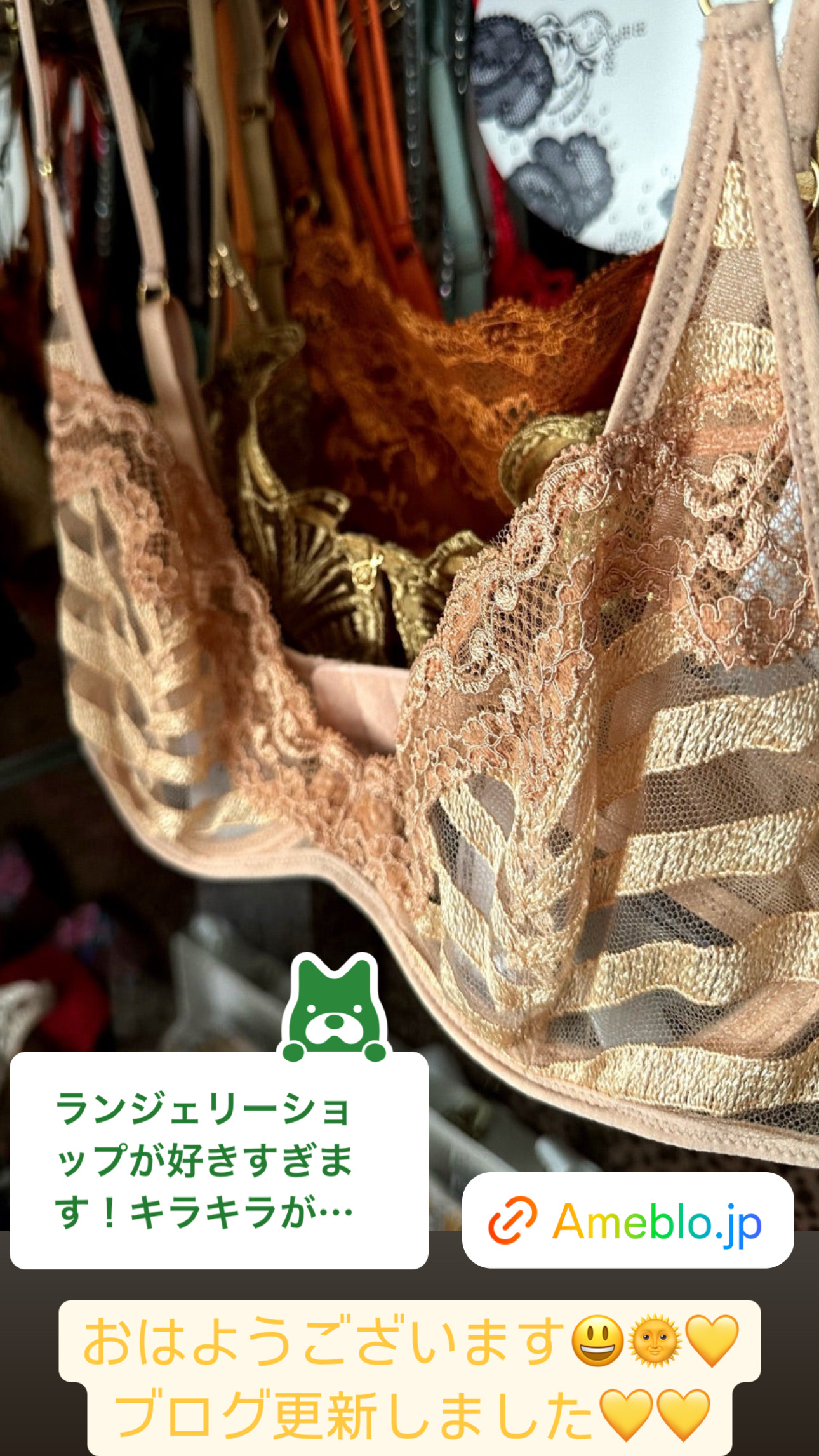今朝もランジェリーワールドが好きすぎます【ブログ】更新しました💛ランジェリー物語/大人の楽園招待状