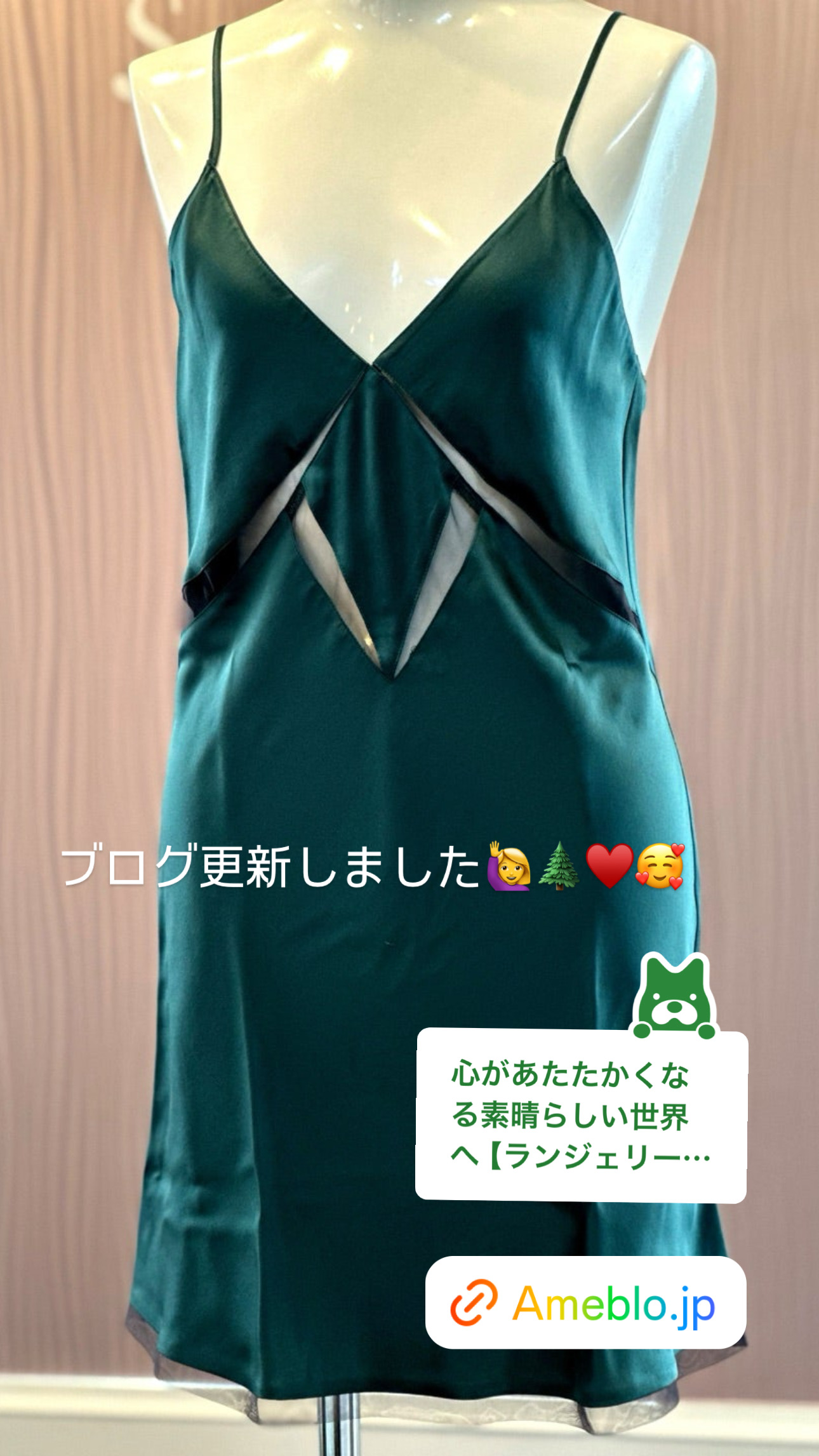 美しい体験は心に永遠に残る❤️素晴らしいランジェリーワールド【ブログ】更新❤️ランジェリーブログ