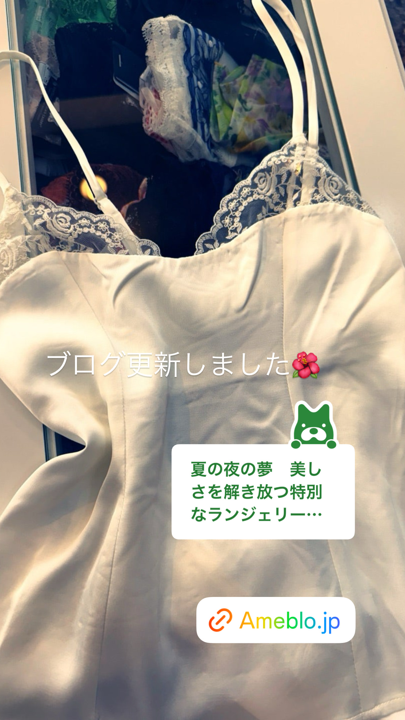 美しさを解き放つランジェリーワールド【ブログ】真夏の夜の夢を叶えるランジェリー