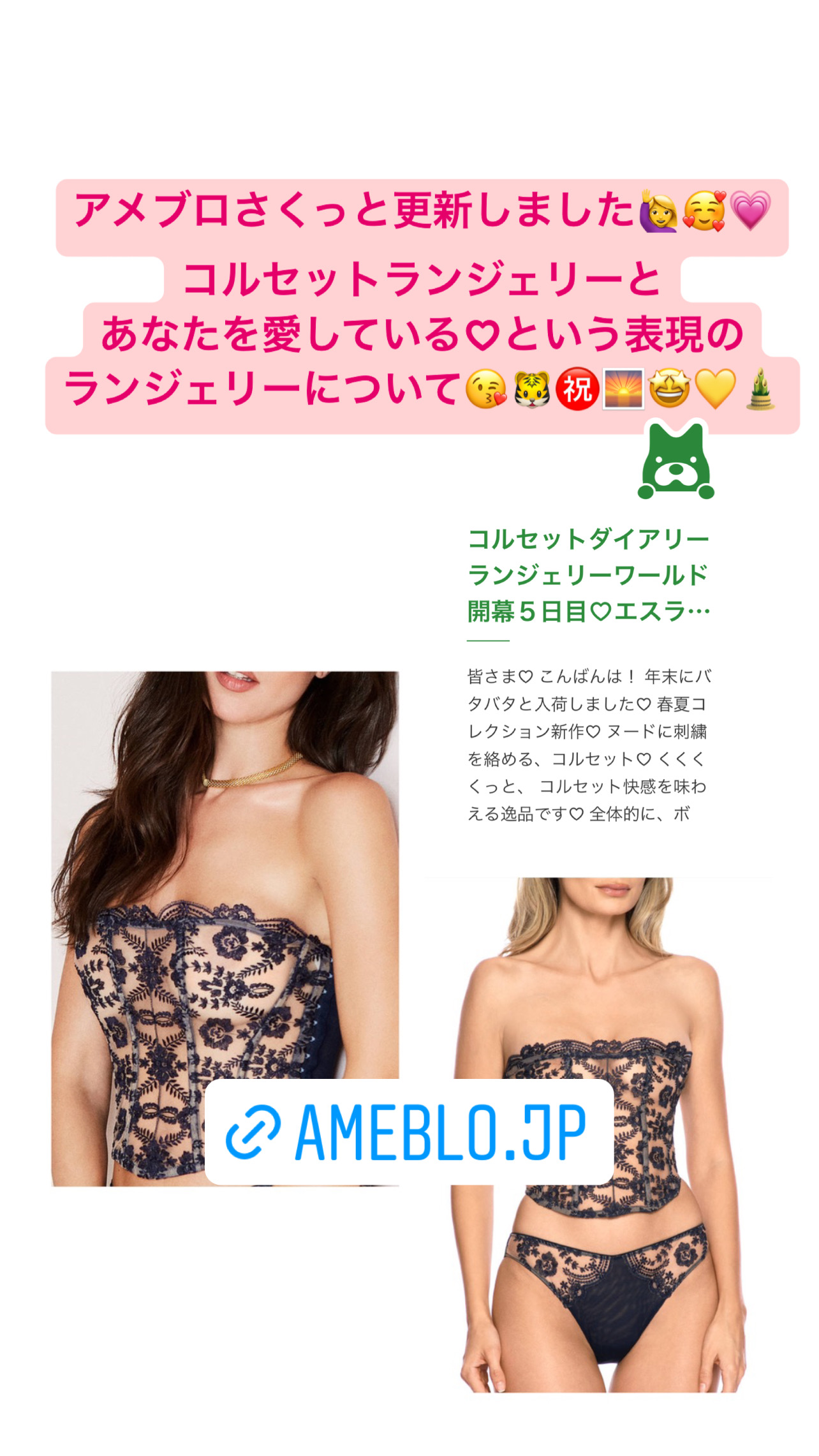 コルセット♡とあなたを愛している♡表現ランジェリーについて♡アメブロ更新しました♡
