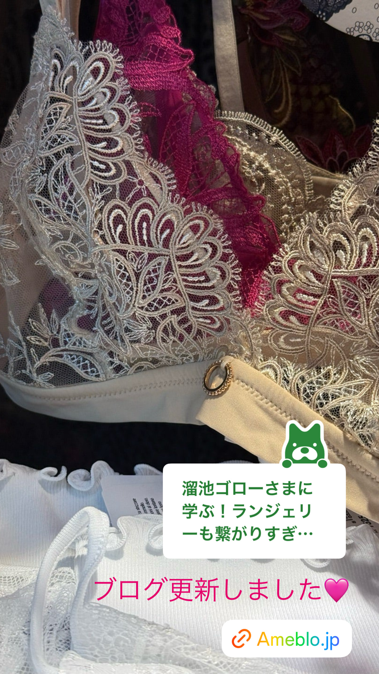 色氣のある女性。魅力のある女性【ブログ】ランジェリーとの深いつながり
