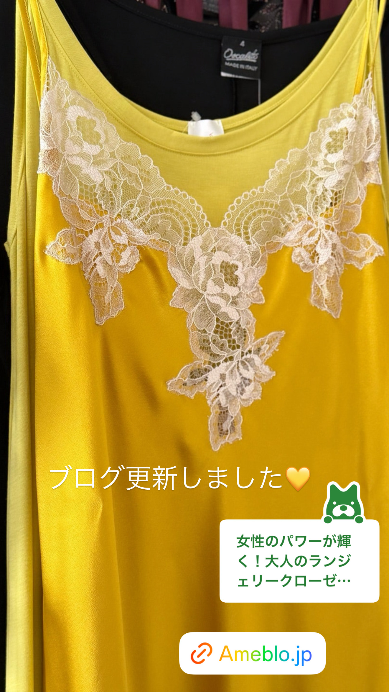 調和と共鳴【ブログ】ランジェリーショップで楽しむ
