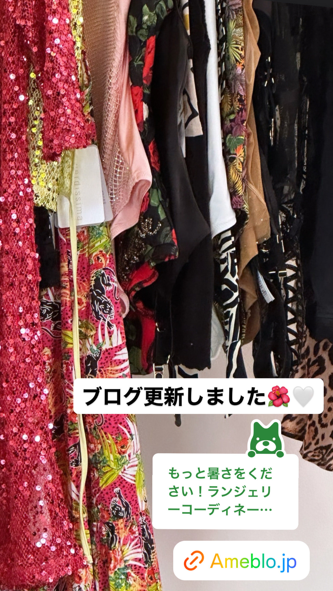 夏を待ちきれなくなる！ランジェリーコーディネート【ブログ】更新♡2024最新夏ランジェリーレポート！